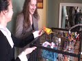Stewie the Sun Conure