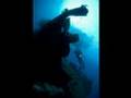 Manokwari Underwater - MES Expedition