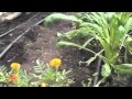 One Day On Earth at... View Video