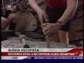 Reportagem Centenário do Escutismo #1 (IV - Drave)