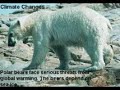 Global Warming is Serious, Psychic Medium Charles J Sibley..