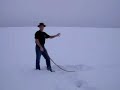 bullwhip-cracking-the-volley.html