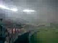 videos de SALIDA PINCHA