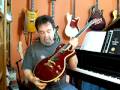 Fernandes Guitar Sustainer