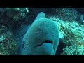 Mauritius & Reunion Island Video