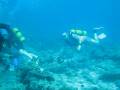 videos de Fushivaru Thila - Maldives
