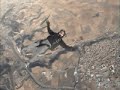 skydive vertigo
