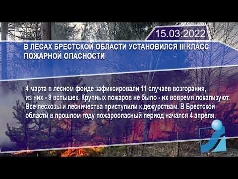 Новостная лента Телеканала Интекс 15.03.22.