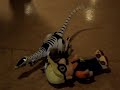 Saurus