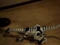 Saurus