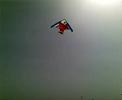 Kite Flying in Dubai