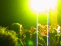 Crosby, Stills and Nash Live At The Borgata 8-6-05