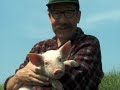 Hanning T. singt : Ein Schwein das ihren Namen tr�gt