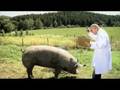 Assistir ao v�deo
