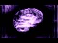 Doc - Errol Morris' First Person: The Smartest Man In the World