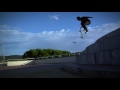 Skate Regeneration