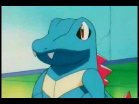 totodile