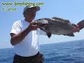 Deepfishing ile ayni gun 2 tane Lahoz