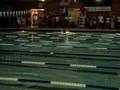 elizabeth's first meet pt 2