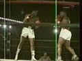 Mike Tyson Vs Conroy nelson Mike Tyson Vs Conroy nelson