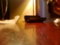 (uploaded by VasaX)&nbsp;Quick hands on (not trying play anything, just qui