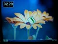 New features of KDE4