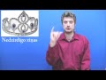 Videoziņas Nr.14 zīmju valodā 11.11.2009