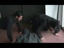 Cromwell EPK