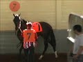 Sights and Sounds, Santa Anita Park Manele-Gratis.net
