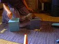 Rat Agility (Deirdre)