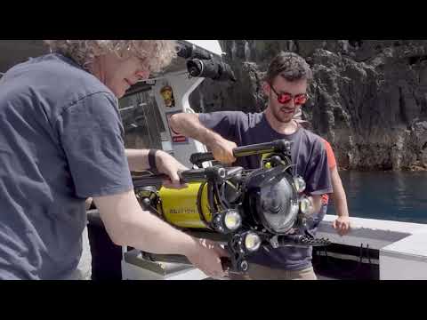 Boxfish Luna | Up to 8K full-frame video | Underwater drone for natural history & research filmmakers