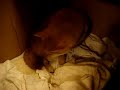 えこちゃんの陣痛（軽め）