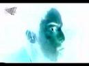 antonio gregorio    mister omega live  the alpha
