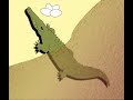 Swimming Crocodile Swimming Crocodile