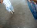 videos de ก้องภพกับข้าวโพด