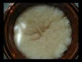 Making Soap in a Crockpot