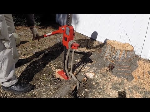 how to remove a tree stump