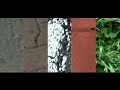 Pasos [videocreaci�n]