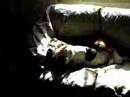 sweetie and magnum go nuts over comforter sweetie and magnum go nuts over comforter