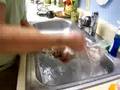 videos de Ivy Lana Bath Time Part 1 Maltese