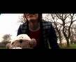 The Acutes - Set On You