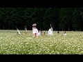 千軒そばの花鑑賞会2010 母親失格