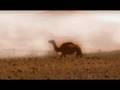 The Sahara - Music Video - New Age Meditation - Darren Worth
