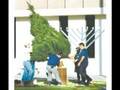 WHAT WAR ON CHRISTMAS?    ACLU Fights for Christmas Tree!