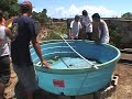 Maui Small-scale Aquaculture