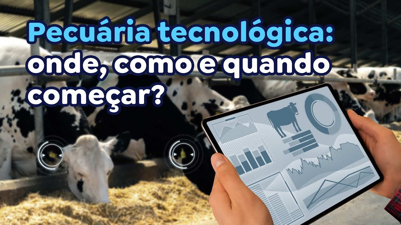 Pecuária tecnológica - onde, como e quando começar?