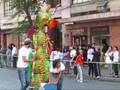 videos de EL DESFILE DE LOS ALEBRIJES