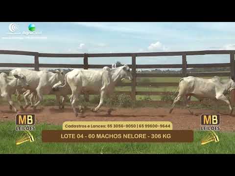 542� LEIL�O VIRTUAL MB LEIL�ES