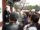 Korean guide speaks to Japanese tourists in Changdeokgung Korean guide speaks to Japanese tourists in Changdeokgung