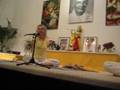 Narayani: Geschichten von ihr und Swami Vishnu